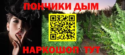 индика Комсомольск-на-Амуре