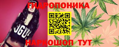индика Комсомольск-на-Амуре