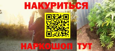 индика Комсомольск-на-Амуре