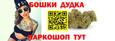 индика Комсомольск-на-Амуре