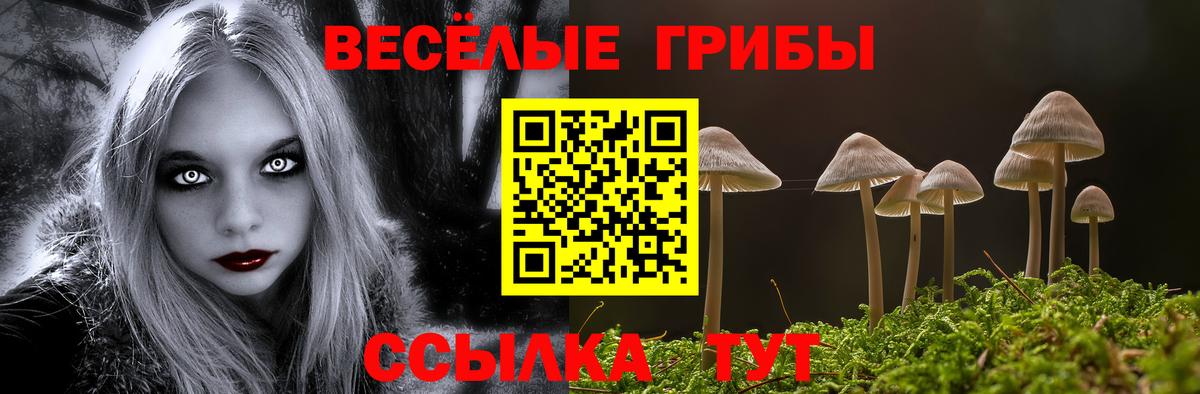 Галлюциногенные грибы Psilocybine cubensis Великие Луки